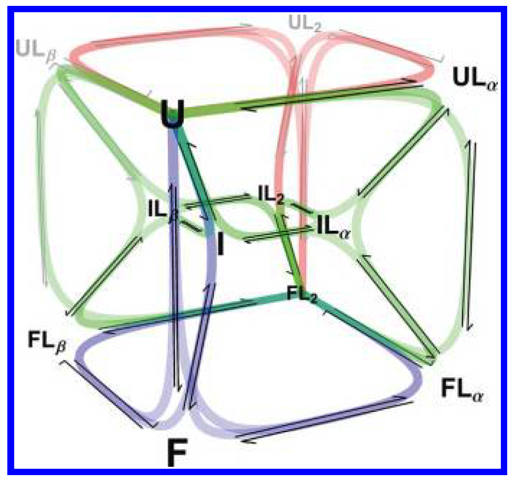 P-Pro coupled folding and binding reaction scheme