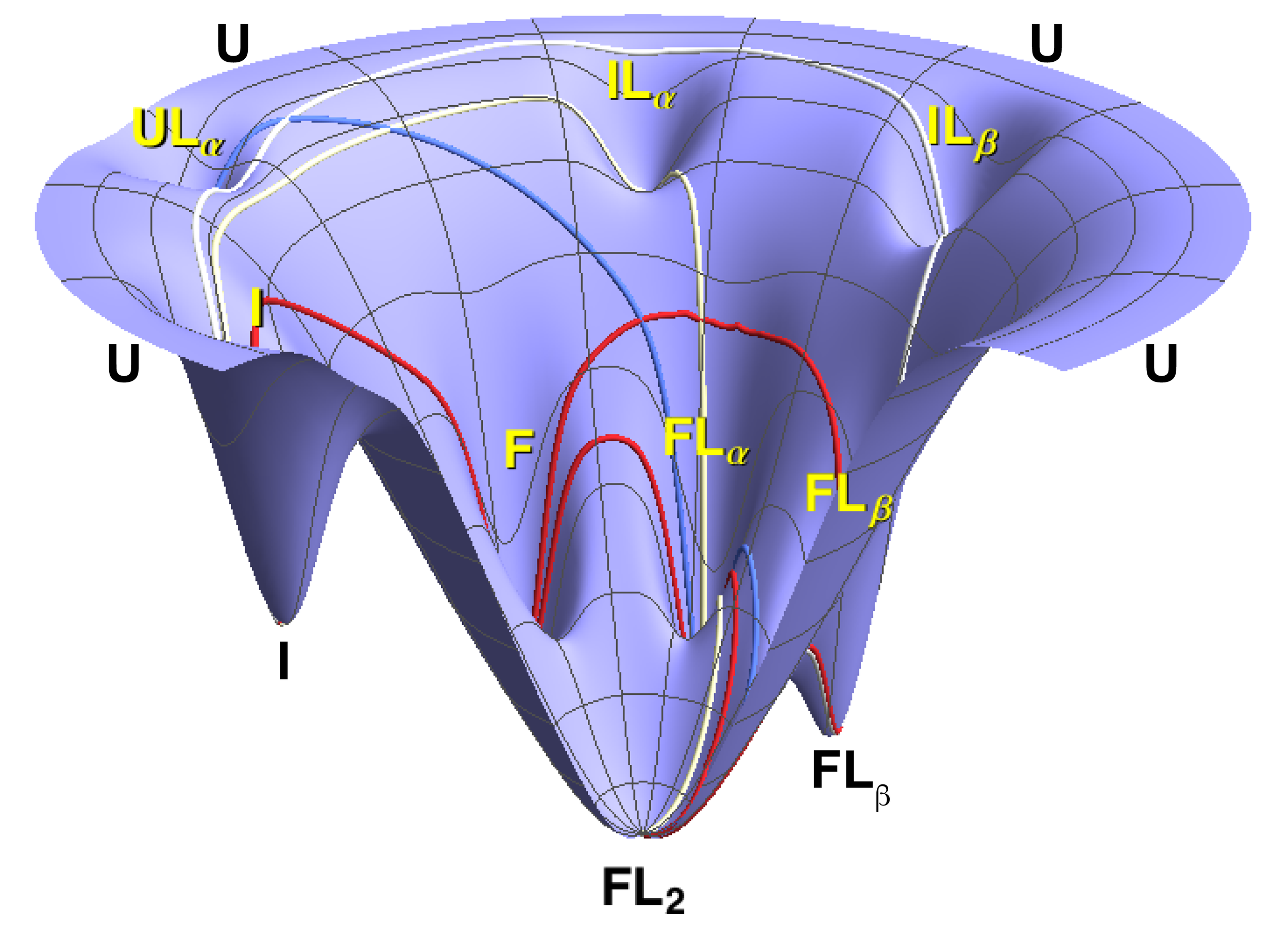 Free-energy landscape of RNase P protein folding and ligand binding, with labeled states