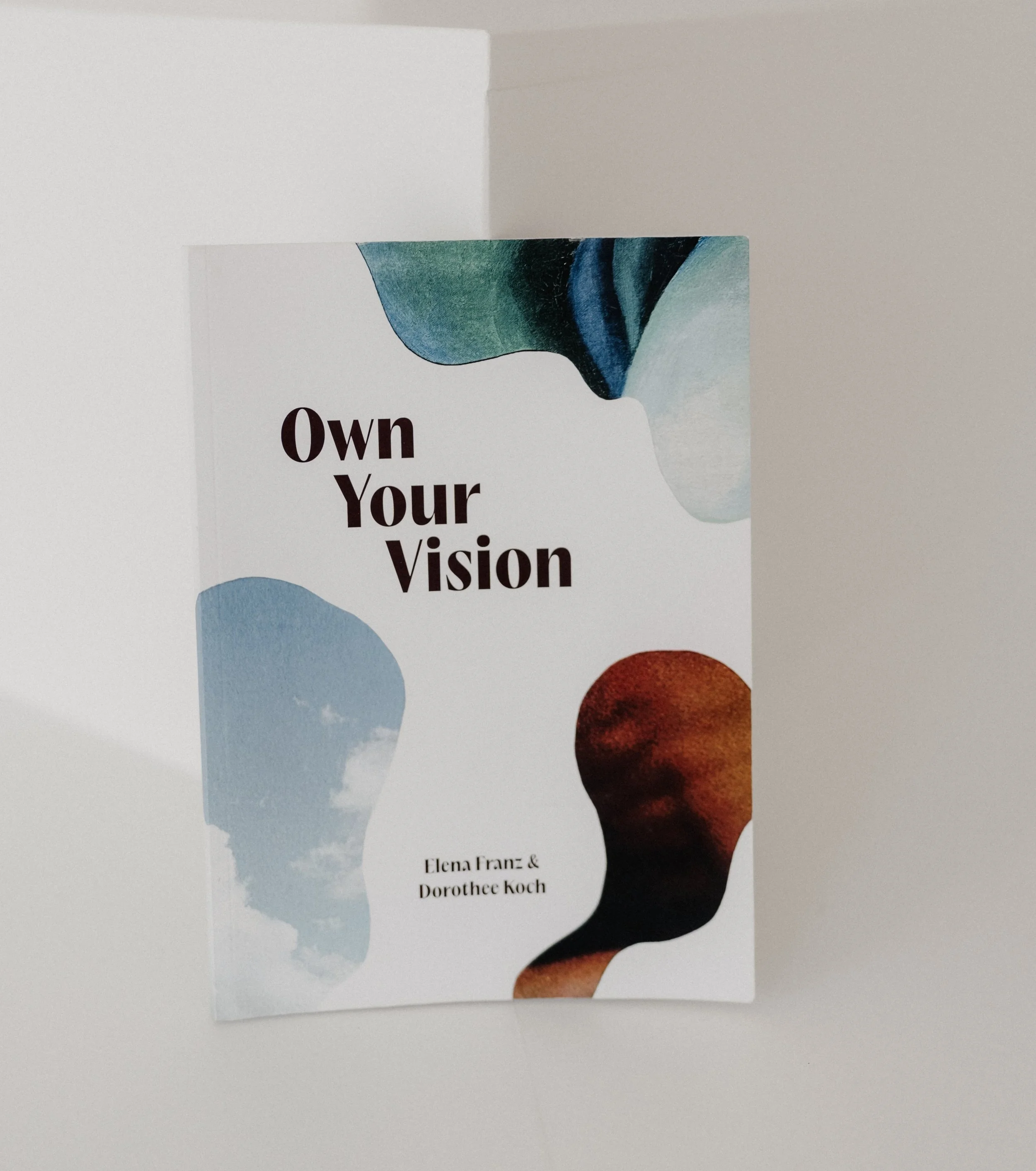 Own Your Vision Book