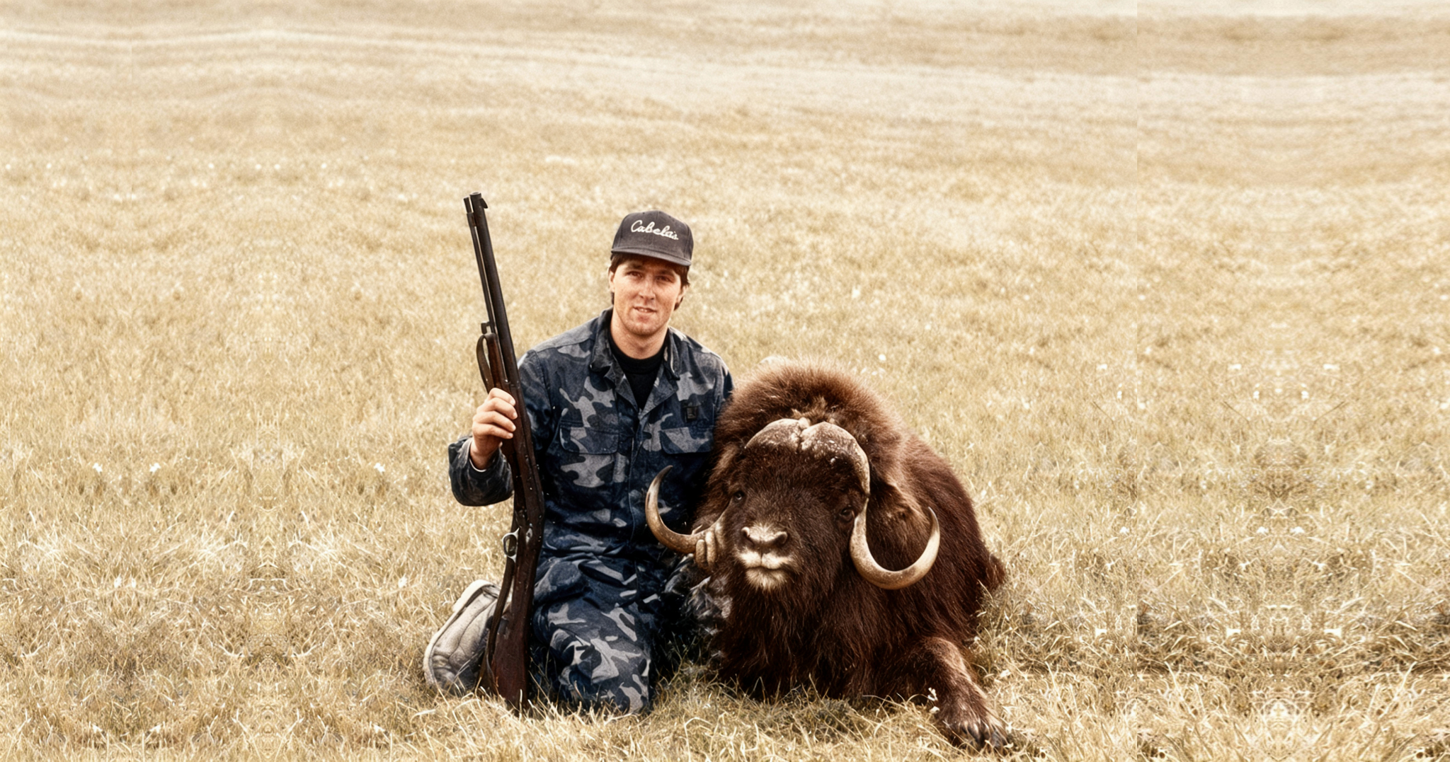 Hunter with a harvested muskox in open grassland