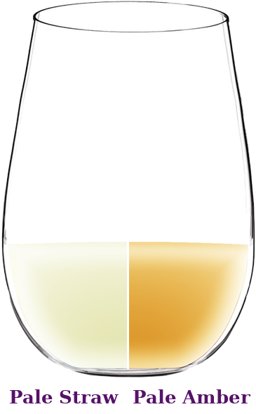 Chenin Blanc wine color in glass