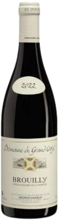 Domaine de Grand Croix Brouilly 2022 bottle