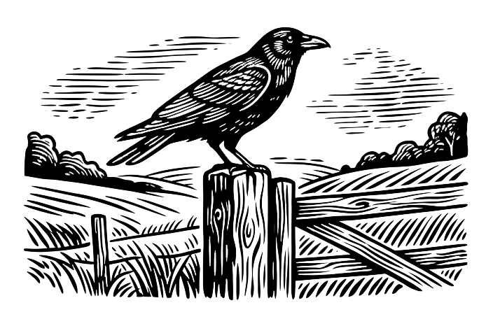 The Drove crow on post woodcut illustration