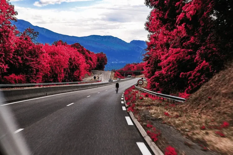 A descent on an alpine road, the trees turned red