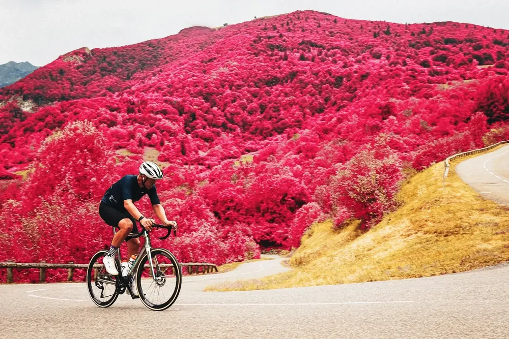 James climbing past a hillside turned crimson and pink, dry verges glowing gold