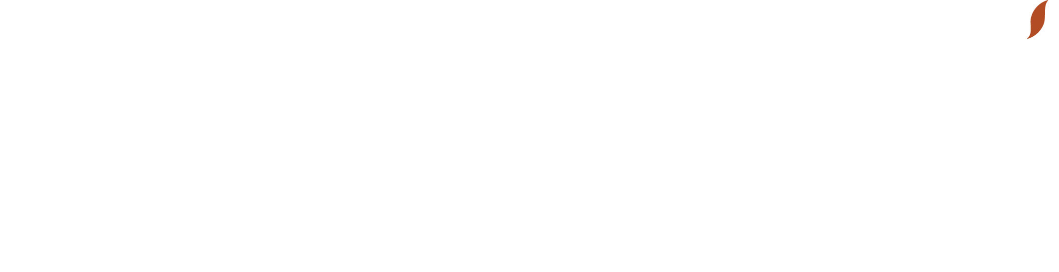 Blue Banyan Strategy