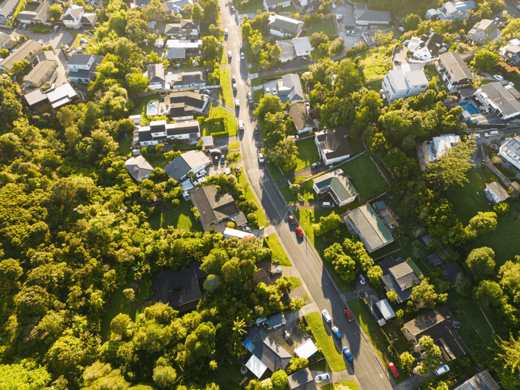 Aerial view of homes, gardens and a leafy neighbourhood