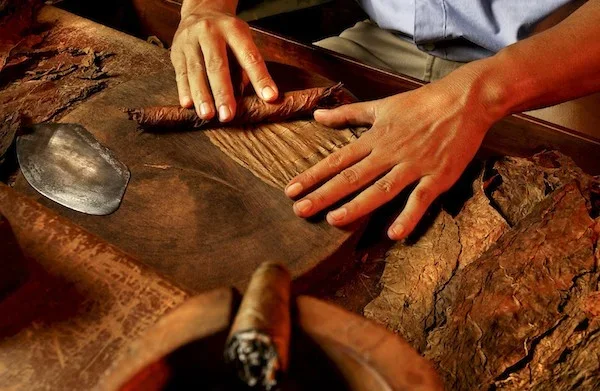 Hands-on tobacco craftsmanship detail