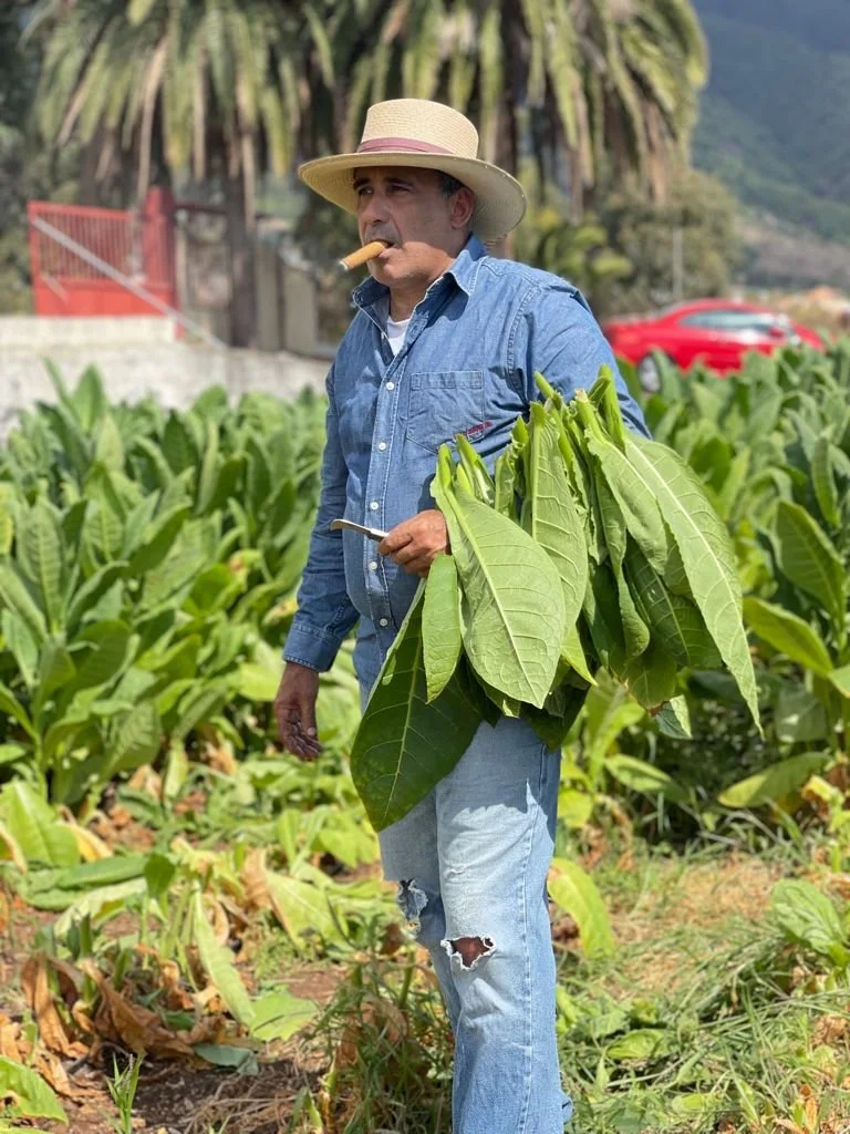 Fernando Sanfiel holding tobacco leaves and smoking a cigar in La Palma