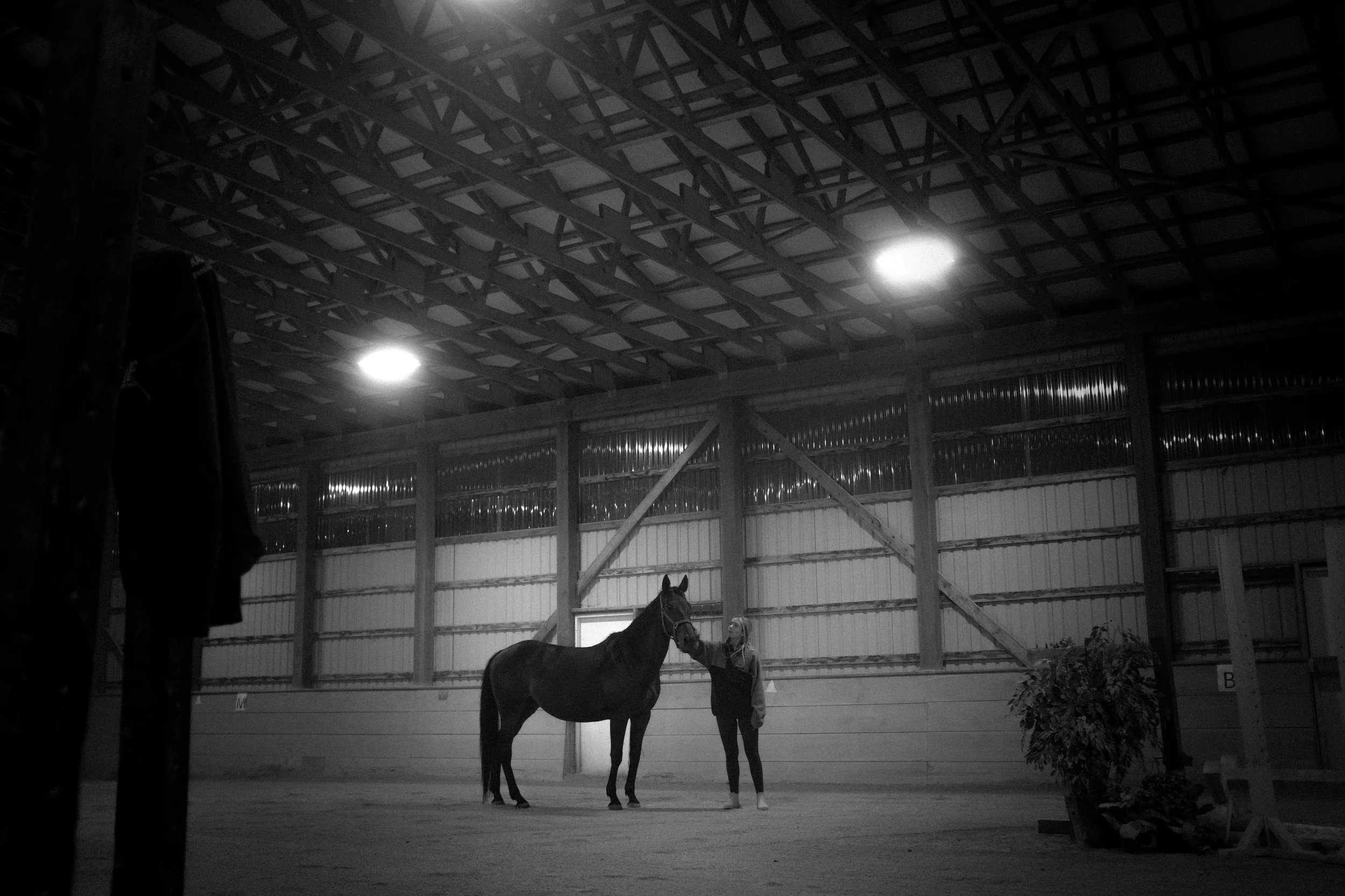 Horse and handler in indoor arena