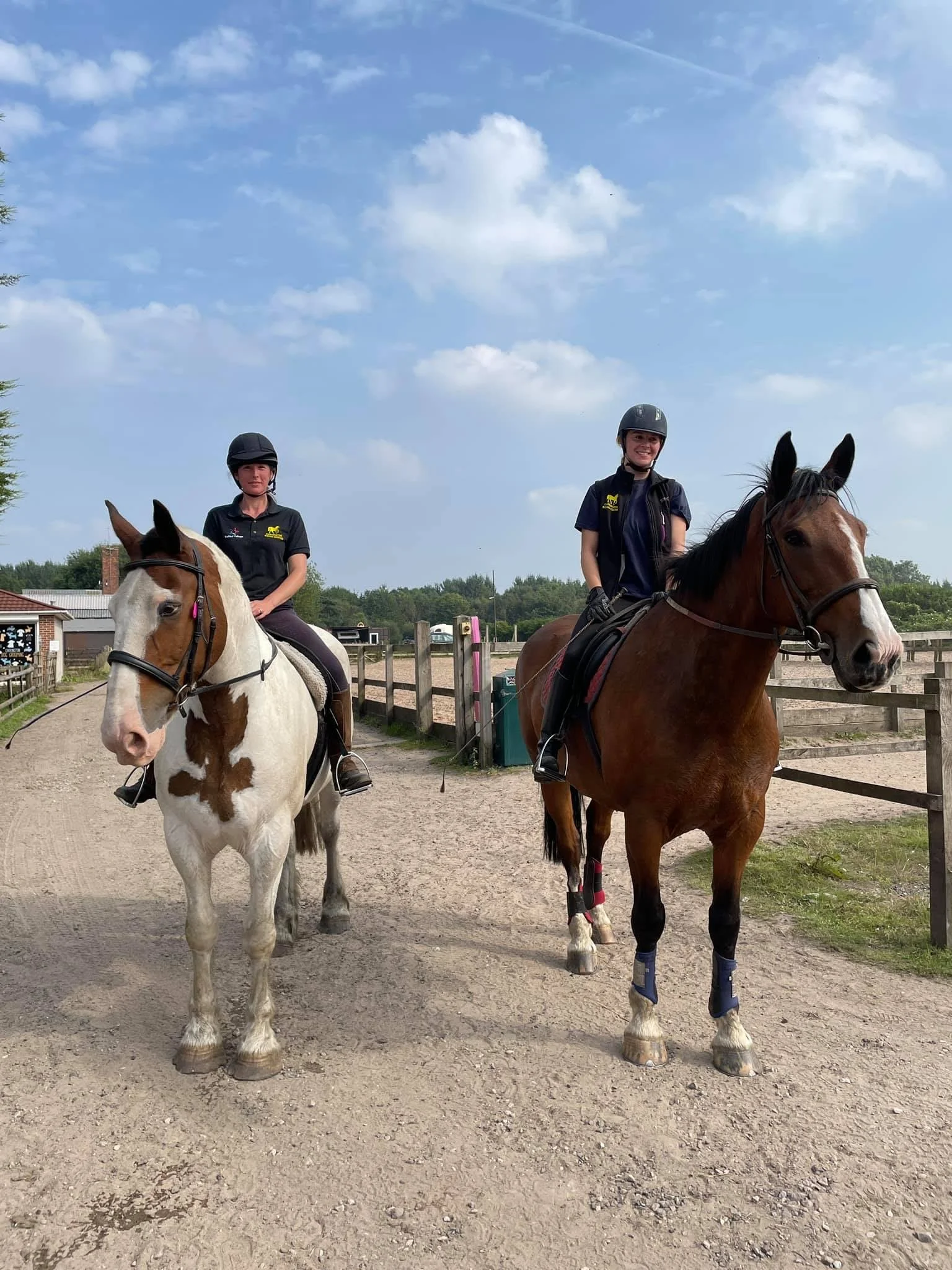 Horse and rider at Carrington Riding Centre arena