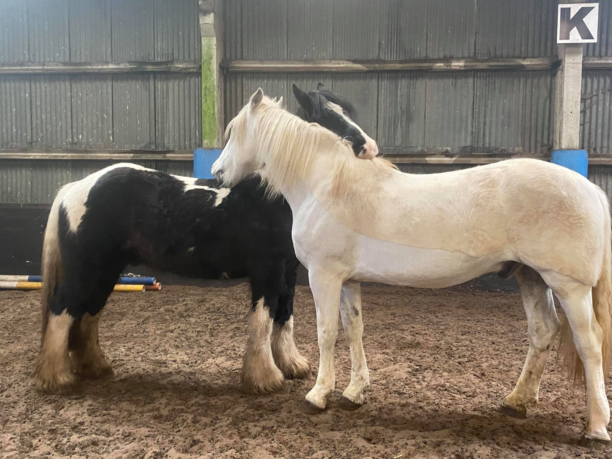 Rider and instructor during a private lesson