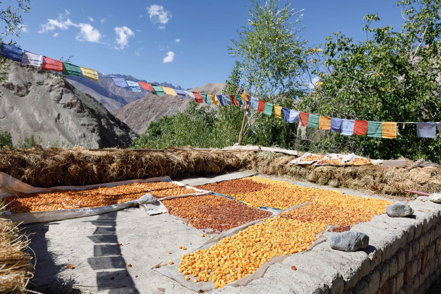 A monk in red robes at Hemis Monastery, Ladakh