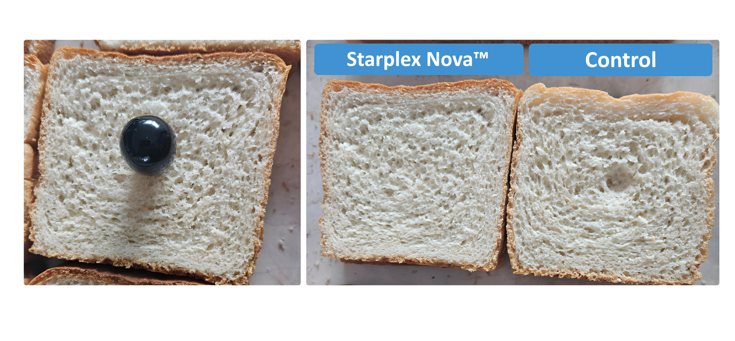 PATCO Trancendim™ Nova | Tortillas
