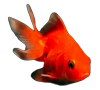 Gilmo the goldfish, The Bubble's mascot
