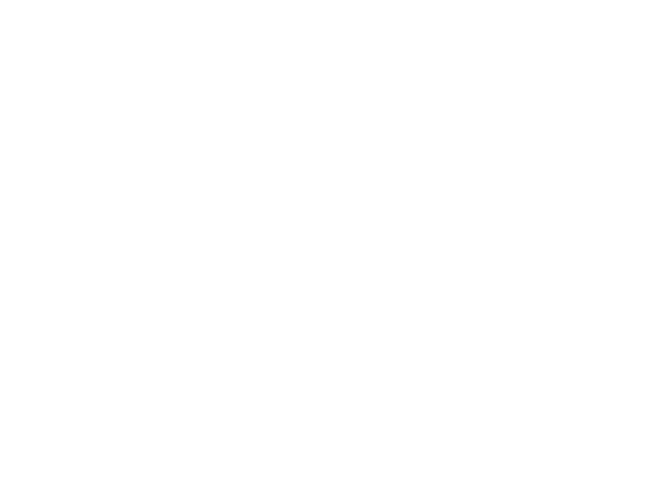 Bolo