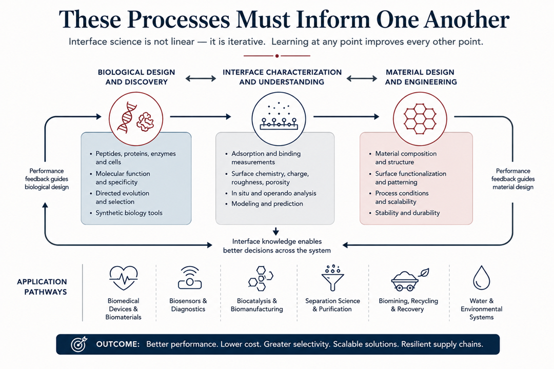 Biological design, material interfaces, separations, and critical-material recovery