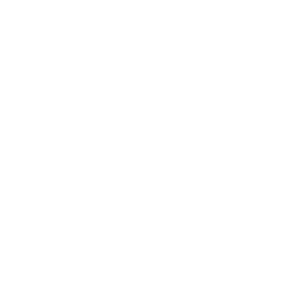 Borrowed Time