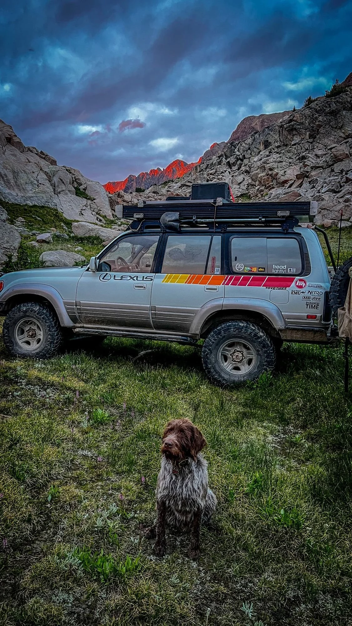 Striped Lexus LX450 in a basin at sunset with a wirehaired dog sitting in front near Cooke City, Montana