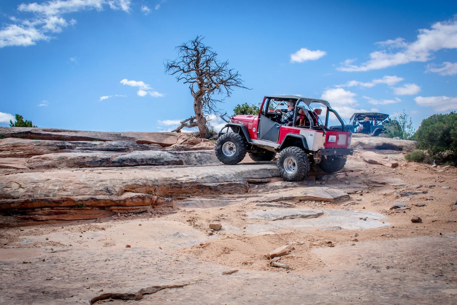 Red caged open-top Toyota FJ40 stepping up a slickrock ledge beside a dead tree on the Seven Mile Rim trail near Moab, Utah