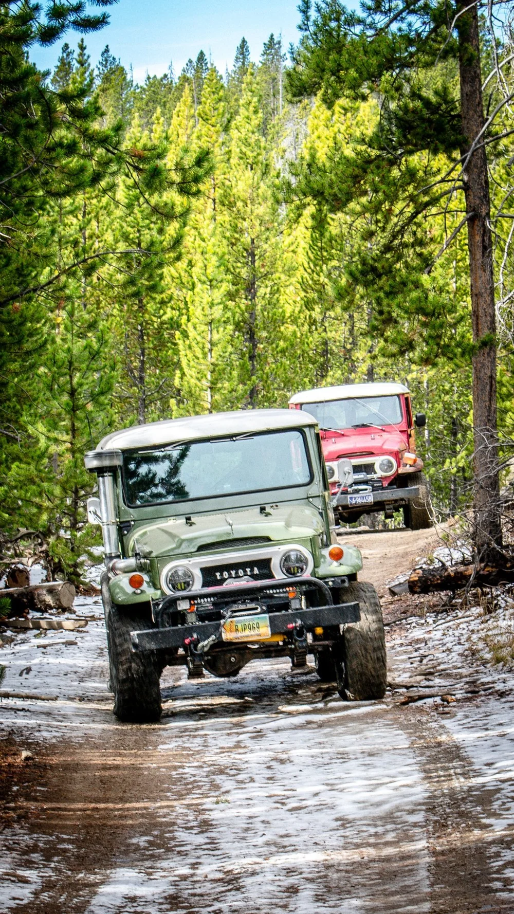 Green FJ40 Land Cruiser on a snow-dusted forest track