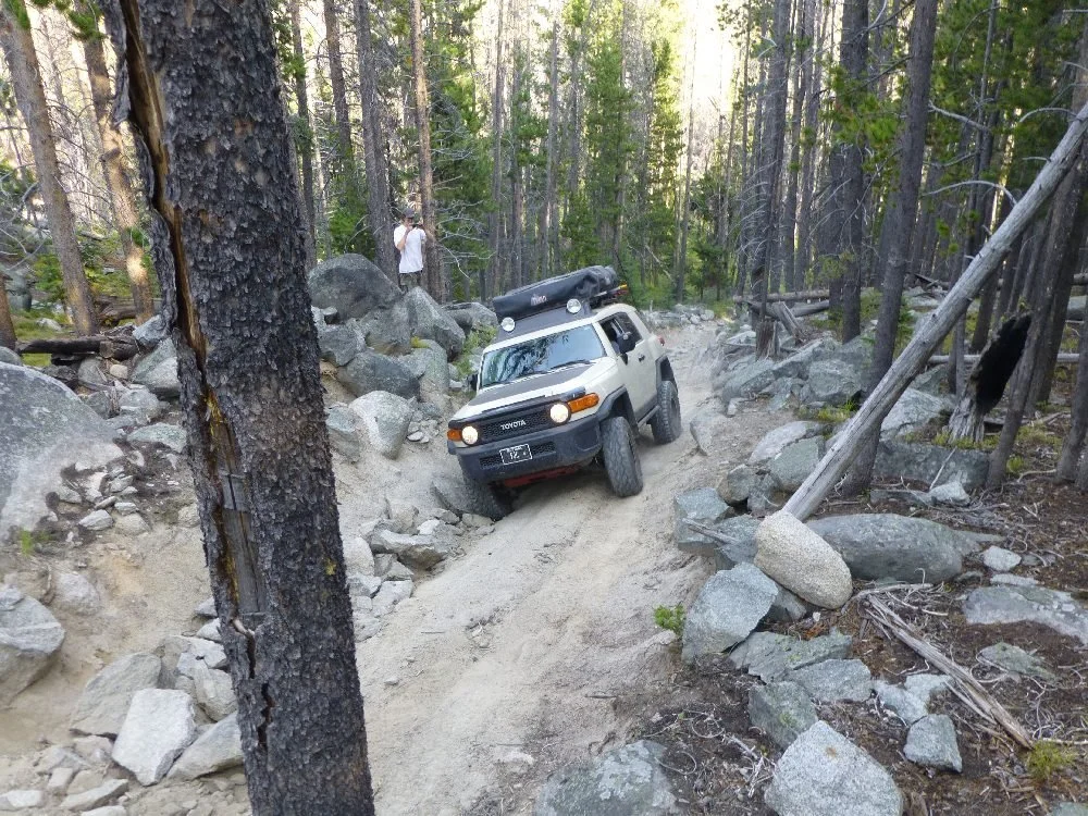 Silver FJ Cruiser with a roof tent picking its way down a boulder-filled track in the trees
