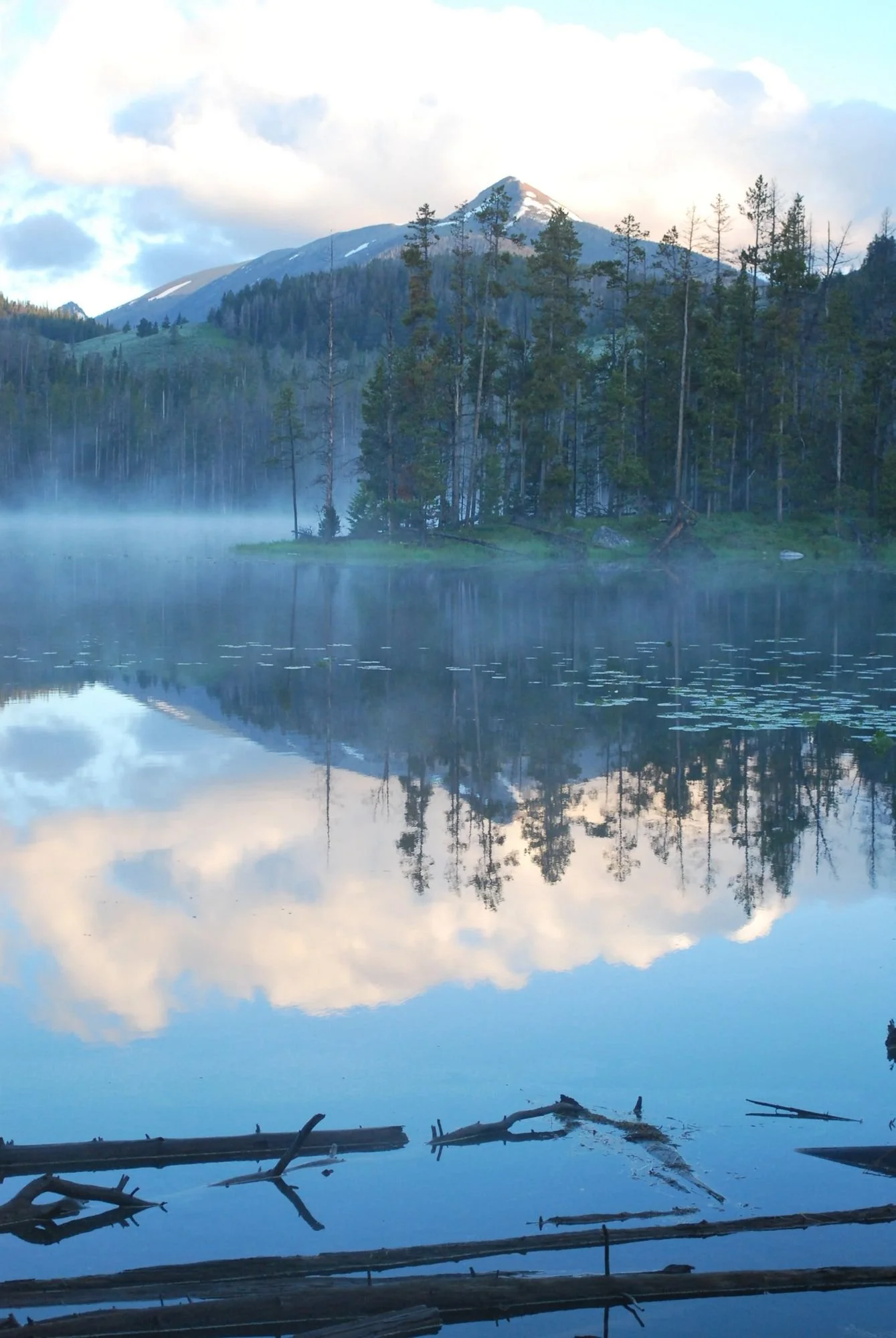 Peak and forest reflected in a misty lake with logs in the foreground on the North Meadow Creek Twin Lakes trail in the Tobacco Root Mountains, Montana