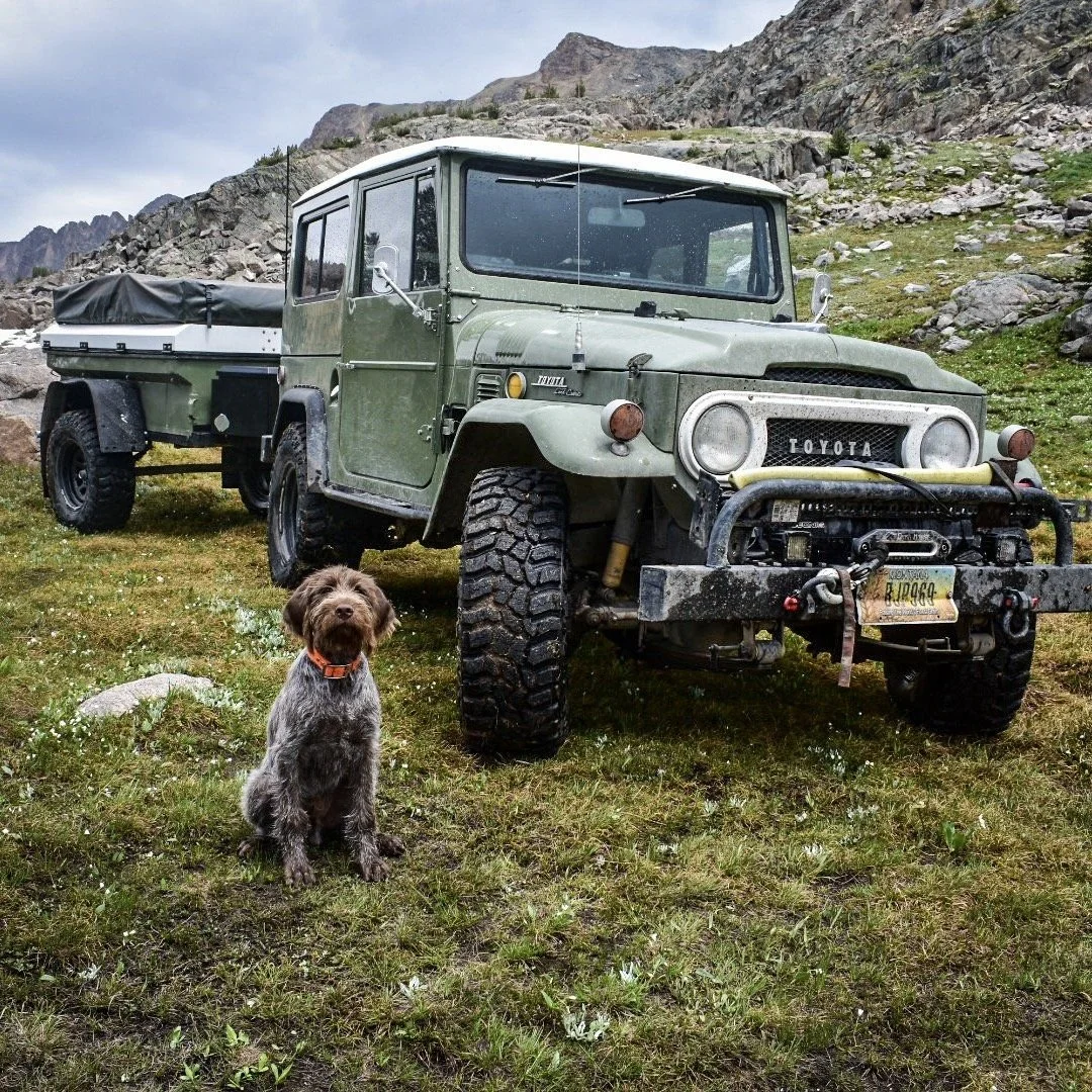 Green Toyota FJ40 with a small trailer parked in a meadow, a young wirehaired dog sitting in front near Cooke City, Montana