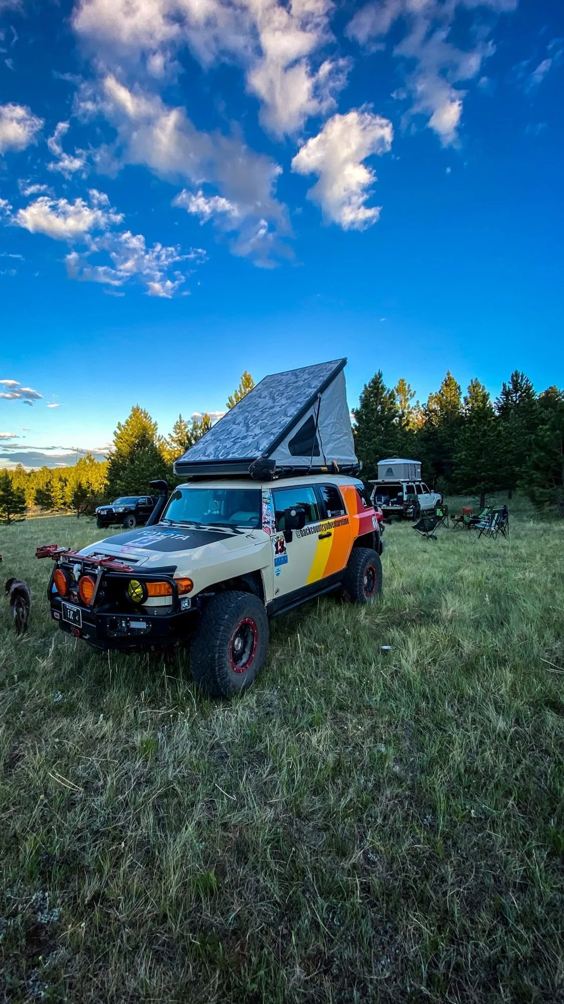 Striped FJ Cruiser with a rooftop tent in a meadow under a blue sky on the Middle Fork Judith River road in the Little Belt Mountains, Montana