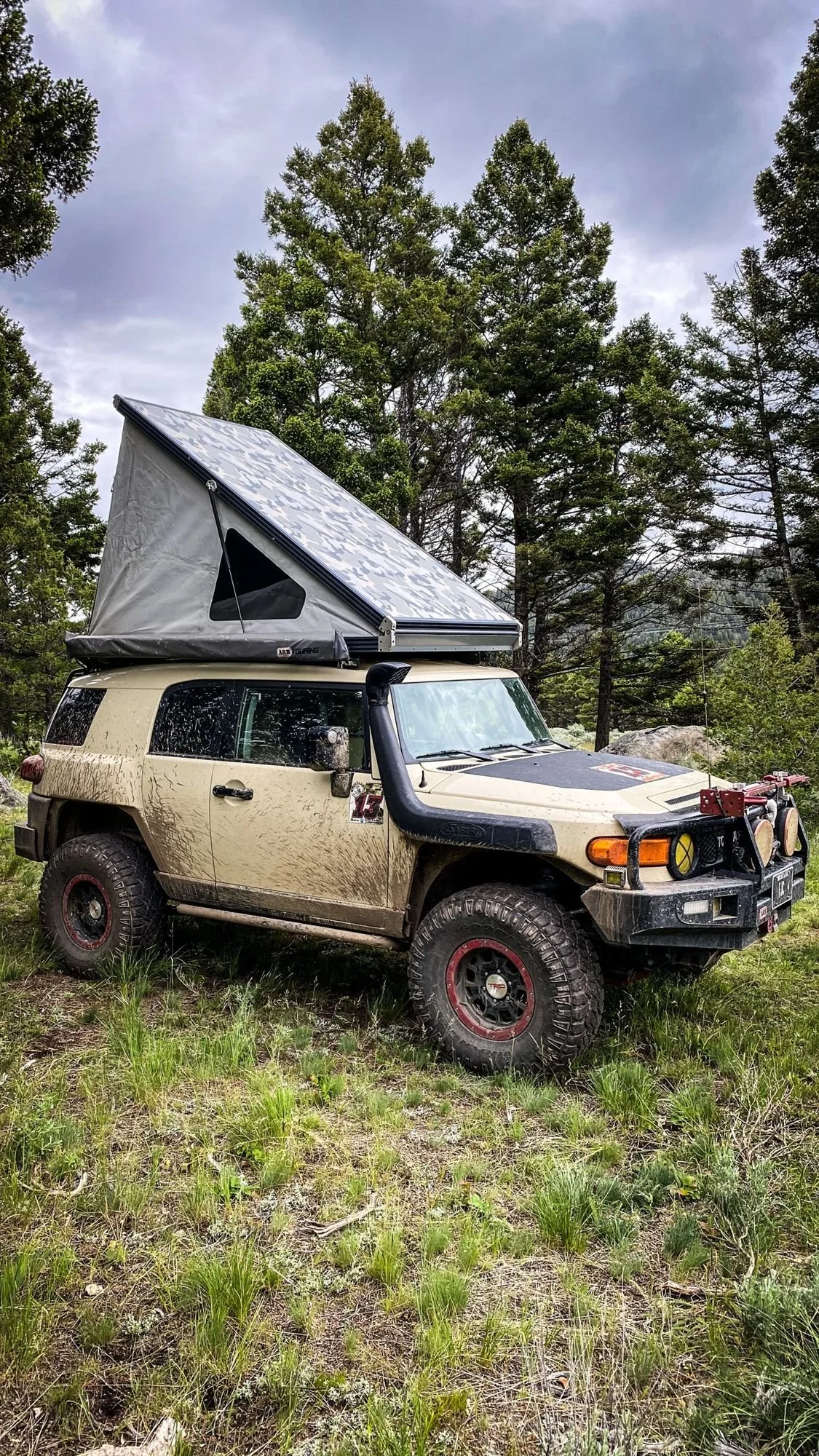 Tan Toyota FJ Cruiser parked in the pines with a hard-shell rooftop tent open in the Elkhorn Mountains near Boulder, Montana
