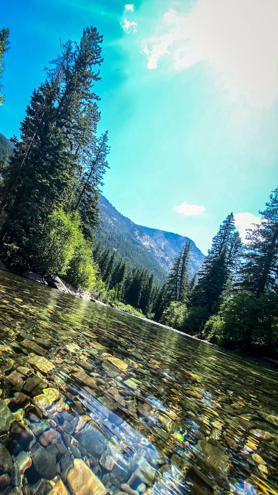 Clear water over colorful river rocks in the Boulder River with forested slopes behind on the Independence road above the Boulder River, Montana
