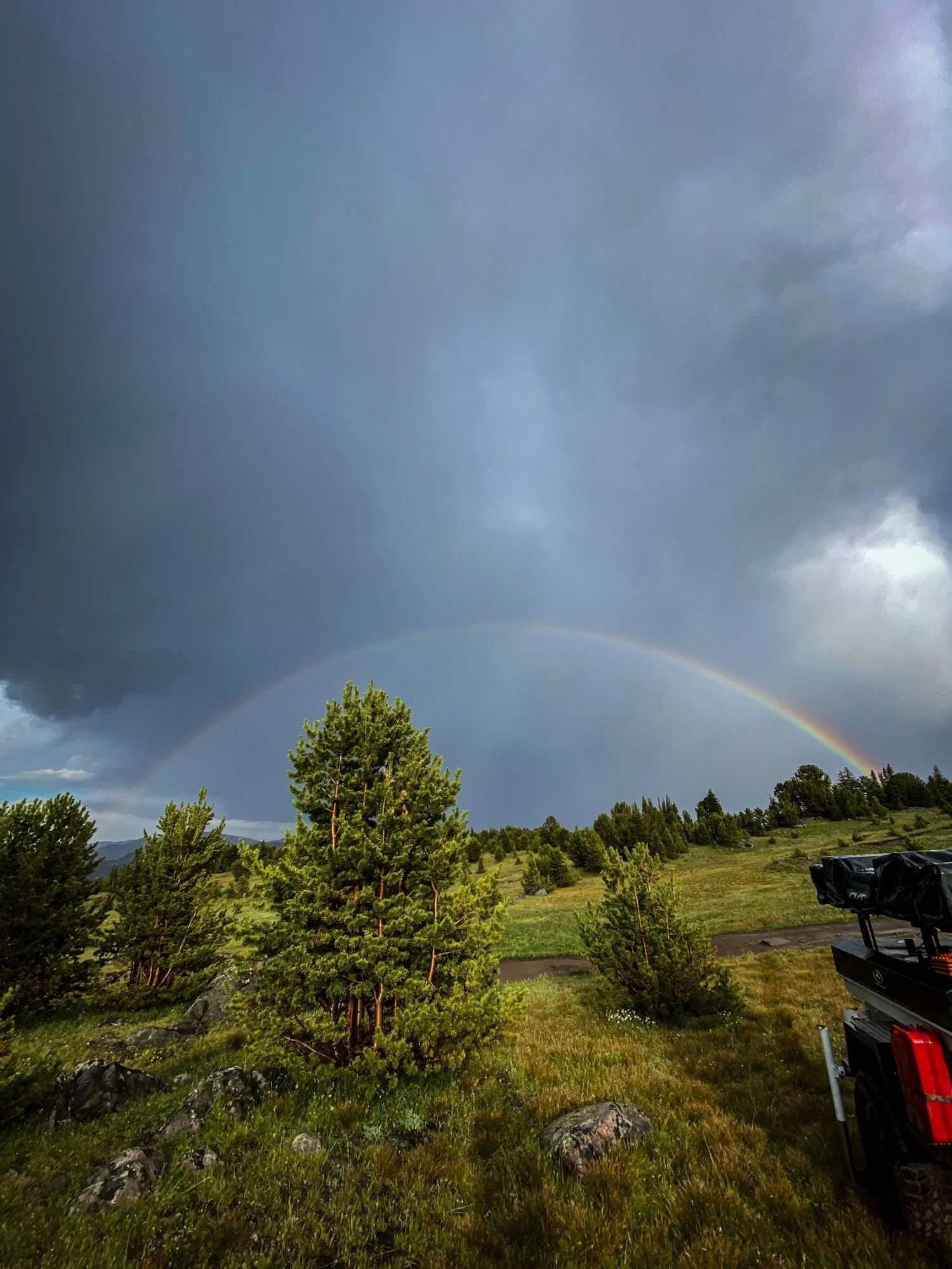 Rainbow arcing over pine trees and a meadow under a dark storm sky on the Independence road above the Boulder River, Montana