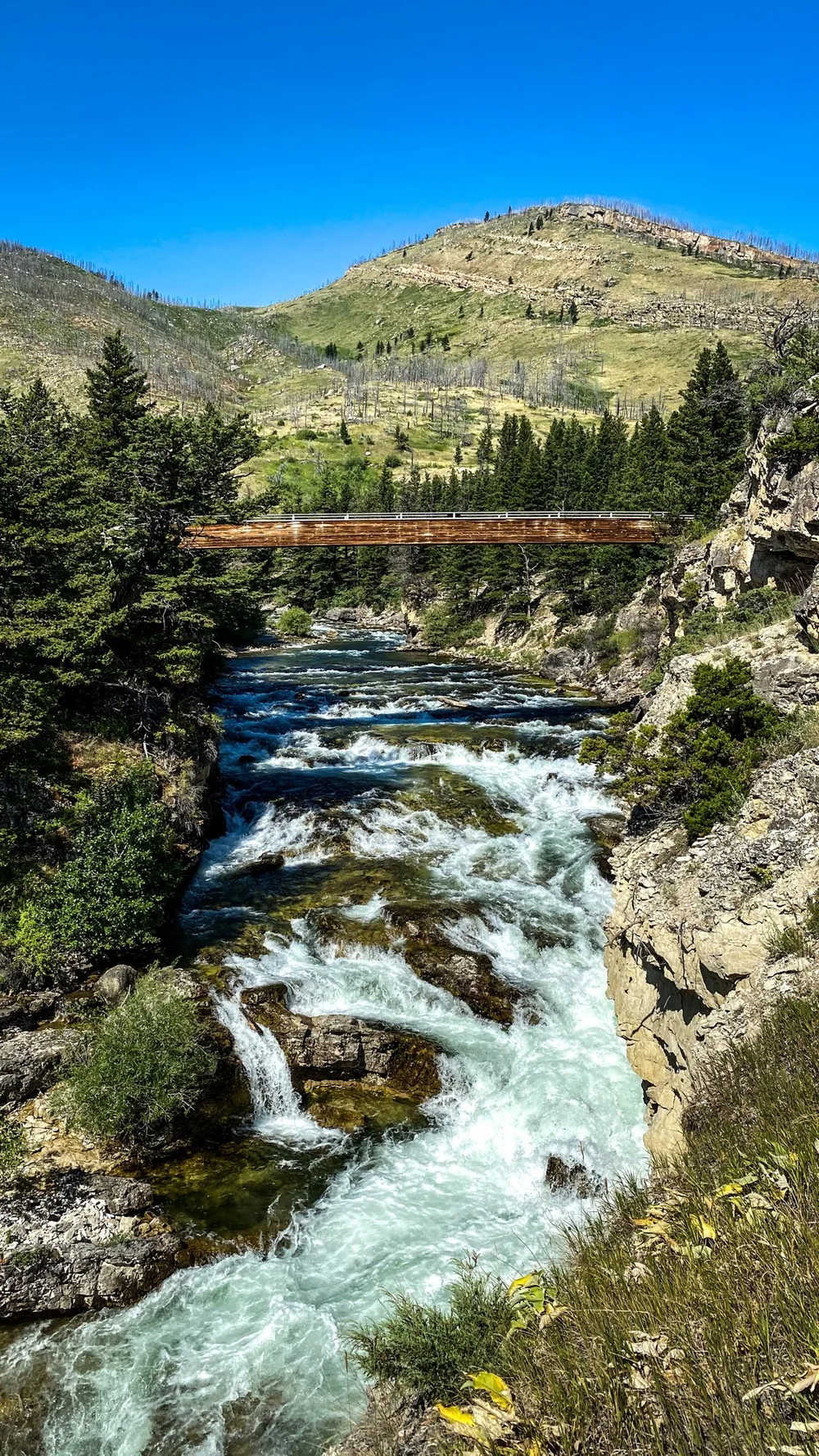 Whitewater falls in a rocky gorge with a footbridge above