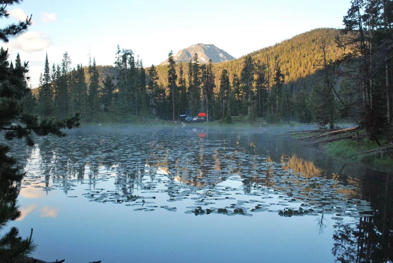 Misty mountain lake at dawn with lily pads, pine forest and a peak lit by early sun on the North Meadow Creek Twin Lakes trail in the Tobacco Root Mountains, Montana
