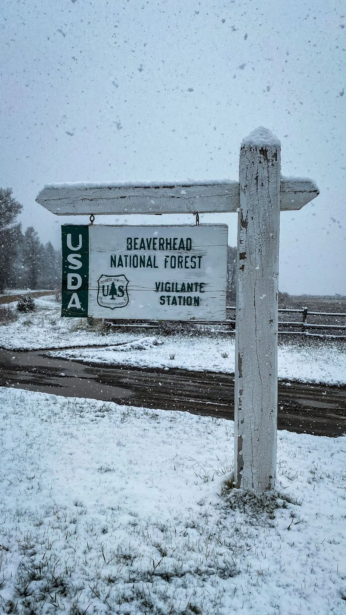 Snow-covered USDA Forest Service sign reading Beaverhead National Forest, Vigilante Station on a 406 Cruisers run in the upper Ruby River country, Montana