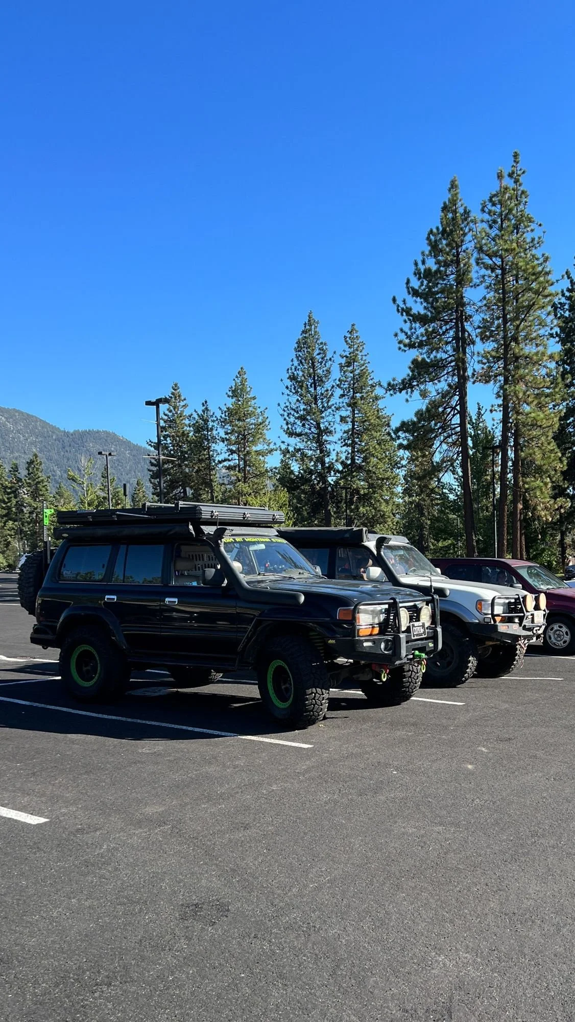 Land Cruisers parked in a paved lot surrounded by pines under a blue sky on the Rubicon Trail in California during Rubithon 2022