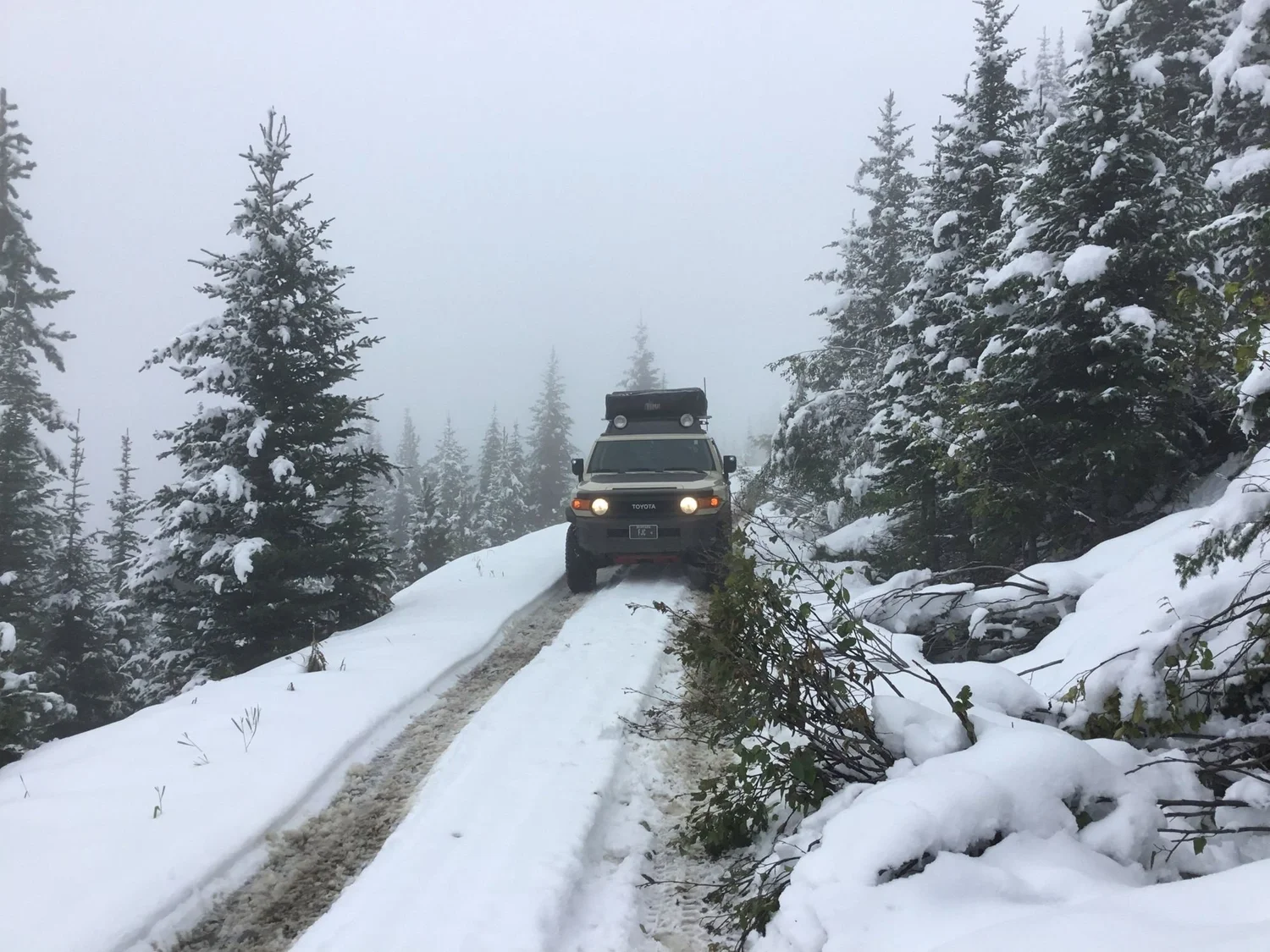 Tan FJ Cruiser with headlights on coming down a snowy two-track between snow-covered pines on Little Bear Road in the Gallatin Range near Bozeman, Montana