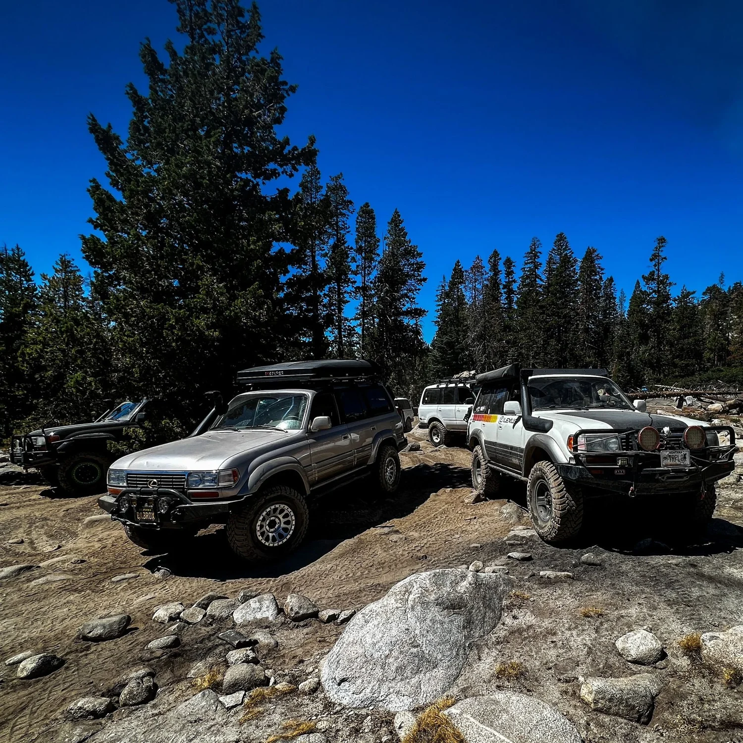 Silver Lexus LX450 and a white Land Cruiser parked on granite under tall pines and a deep blue sky on the Rubicon Trail in California during Rubithon 2022