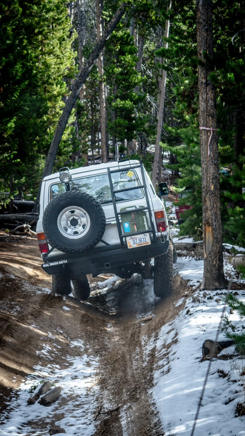 White 4x4 with a rear ladder in snowy ruts between trees