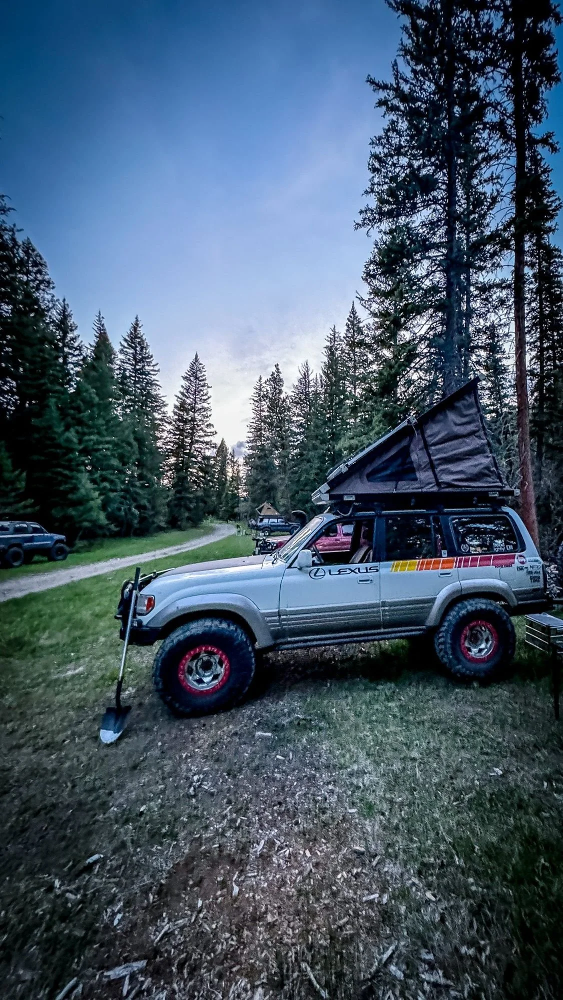 Silver Lexus LX450 with an open rooftop tent parked in a pine forest at dusk on the Middle Fork Judith River road in the Little Belt Mountains, Montana