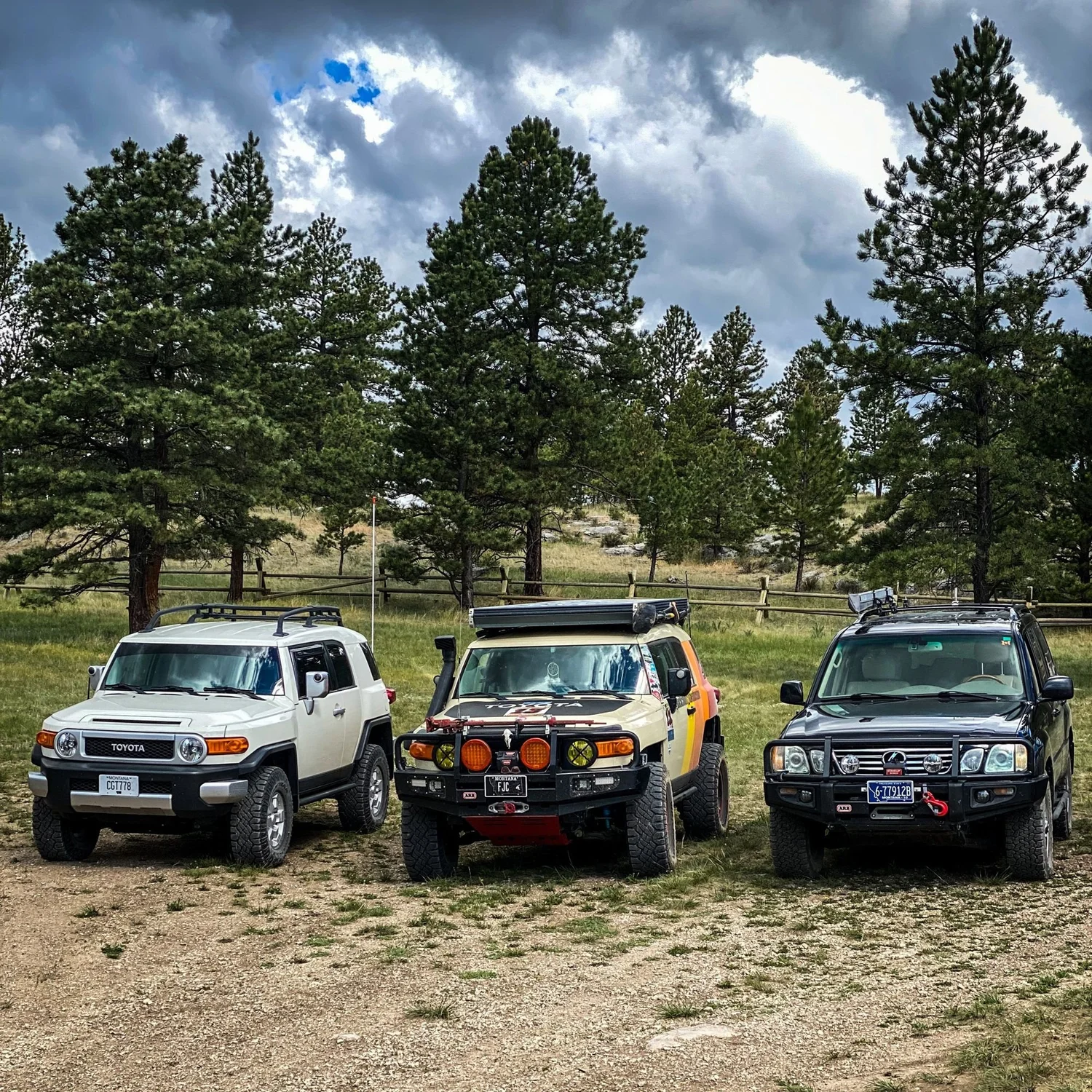 White FJ Cruiser, a striped FJ Cruiser and a black Lexus parked side by side in a pine meadow on the Middle Fork Judith River road in the Little Belt Mountains, Montana