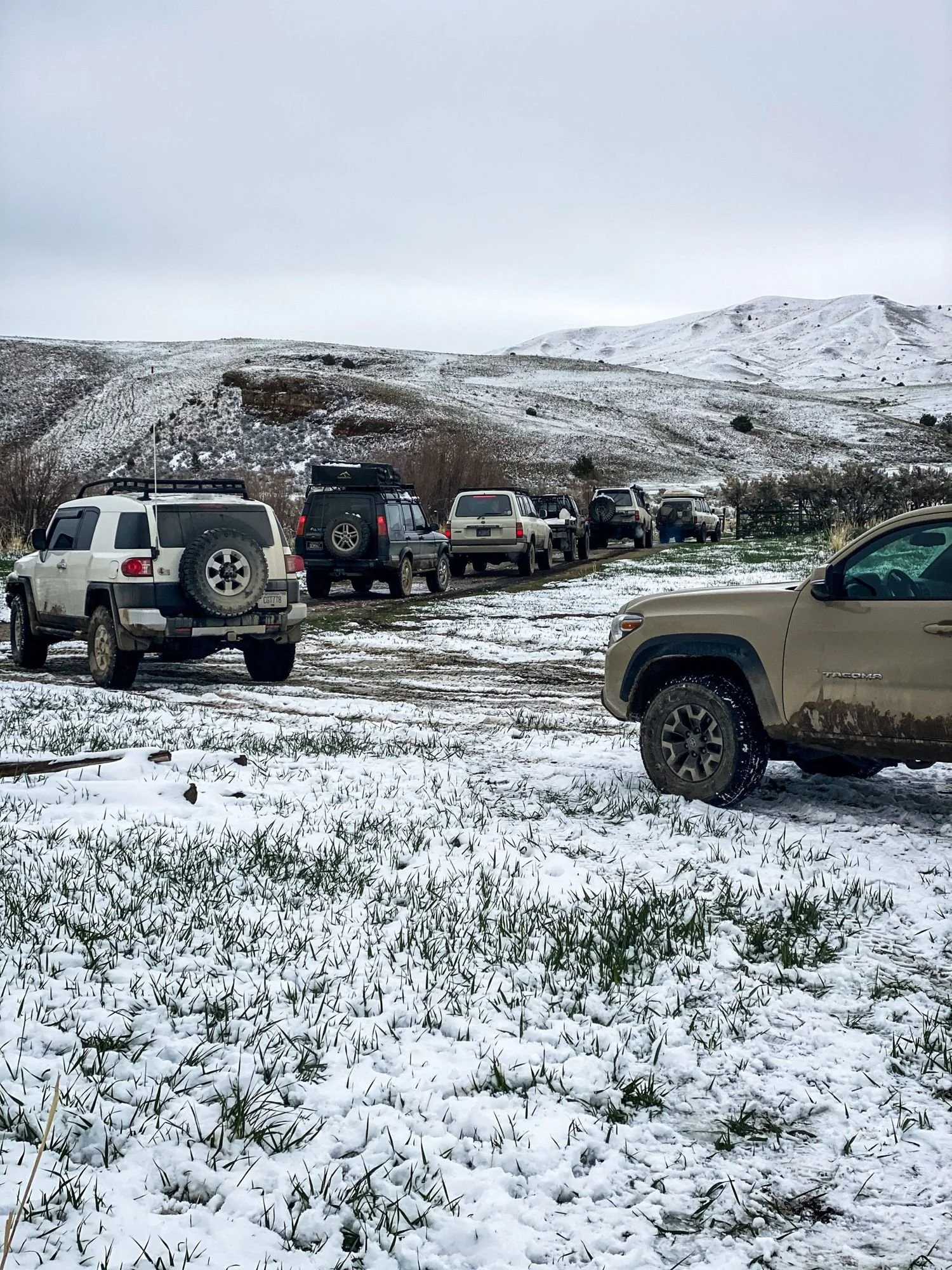 Line of trucks parked along a snowy two-track with a tan Tacoma in the foreground and hills behind on a 406 Cruisers run in the upper Ruby River country, Montana
