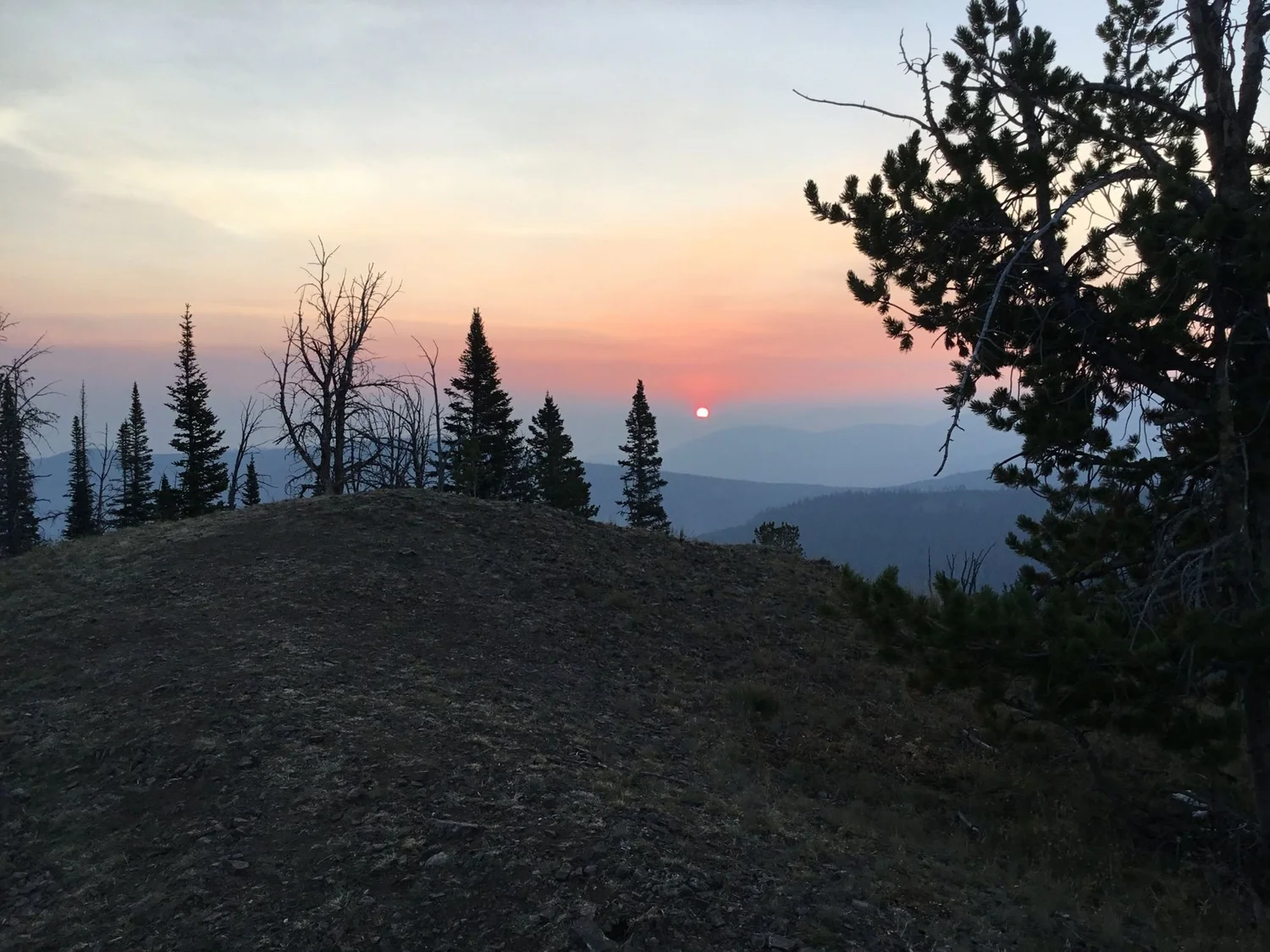 Red sun setting into smoke behind a ridge with pines on Little Bear Road in the Gallatin Range near Bozeman, Montana