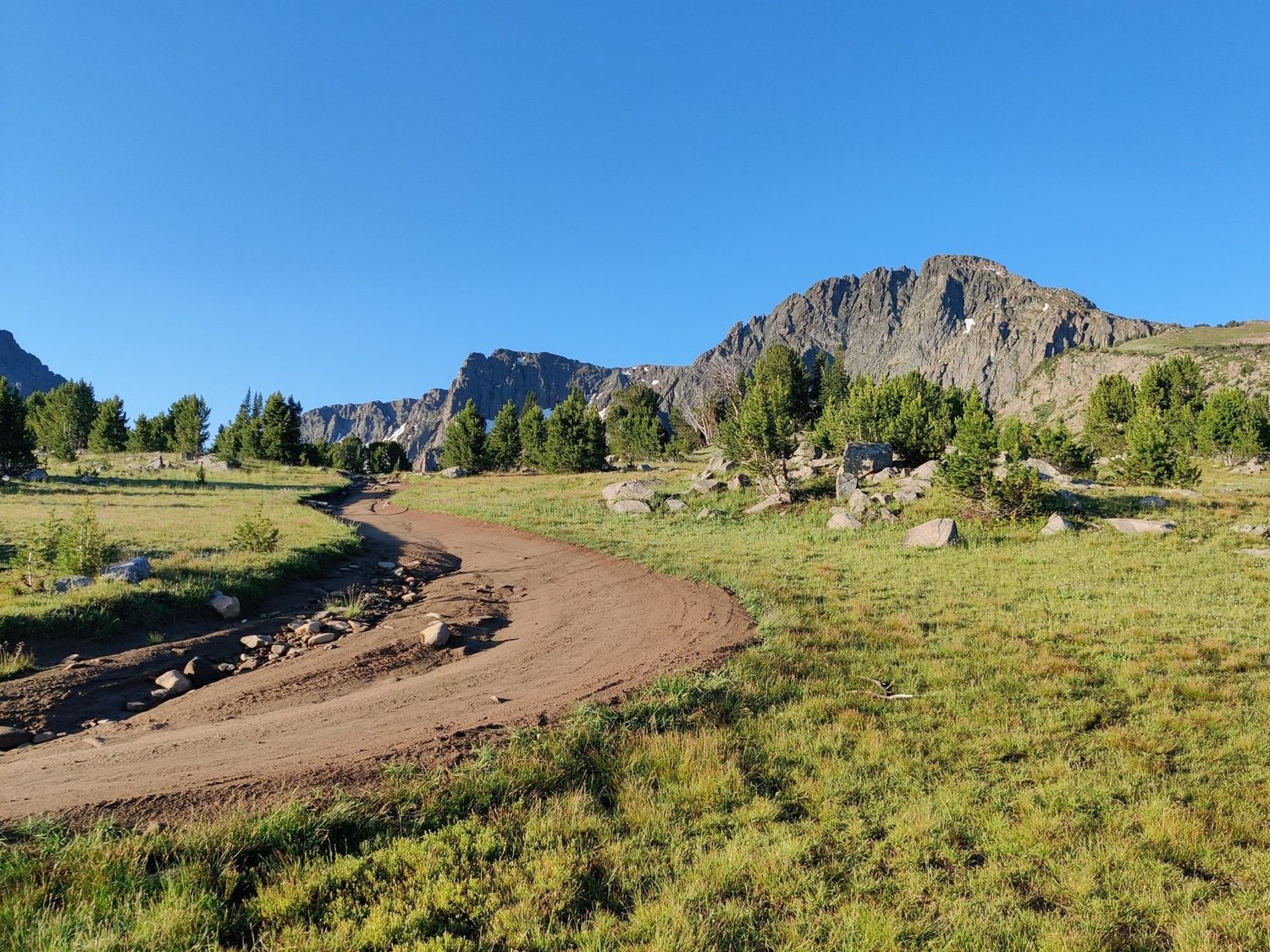 Dirt two-track curving through a green alpine meadow below a rocky peak under a blue sky on the Independence road above the Boulder River, Montana