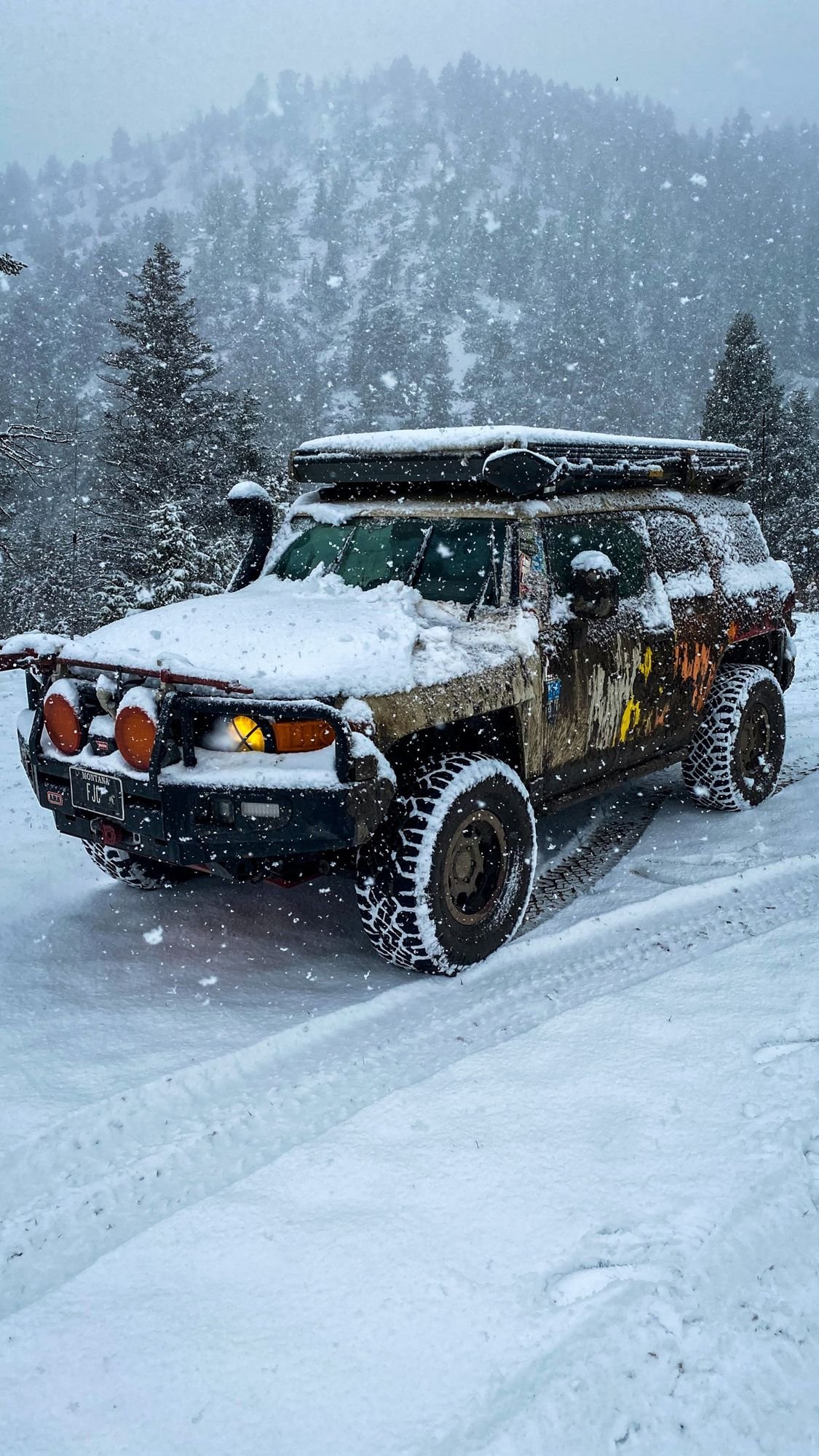 Toyota FJ Cruiser with a rooftop tent and lights in falling snow among pine trees on a 406 Cruisers run in the upper Ruby River country, Montana