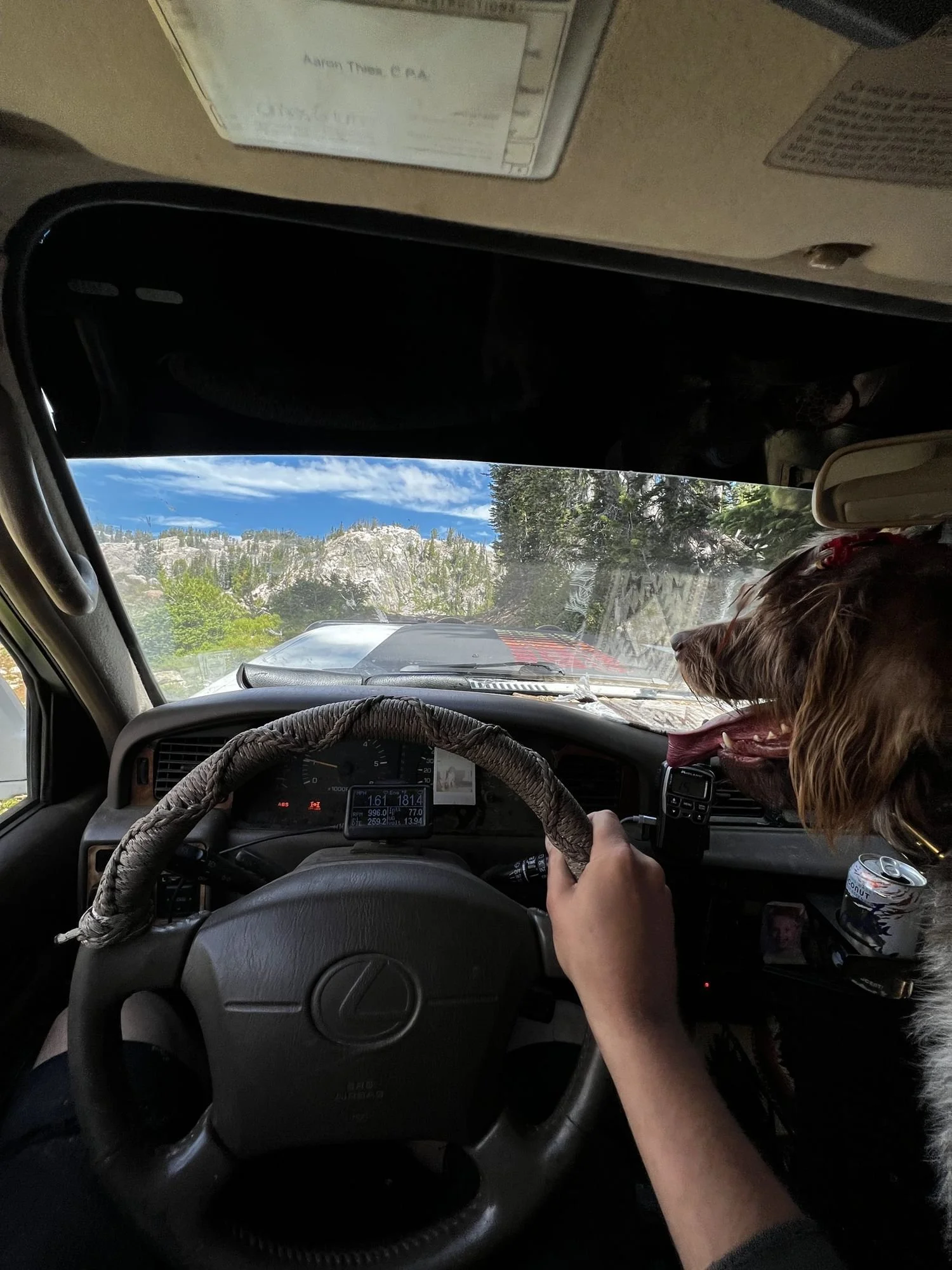 Driver’s view of a Lexus steering wheel with a wirehaired dog leaning in from the passenger seat near Cooke City, Montana