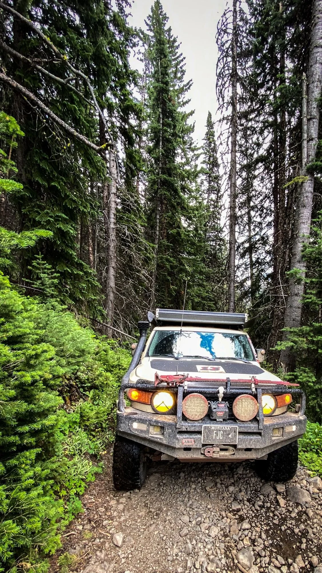 Tan Toyota FJ Cruiser with a steel bumper and lights climbing a rocky road through tall timber on the Independence road above the Boulder River, Montana
