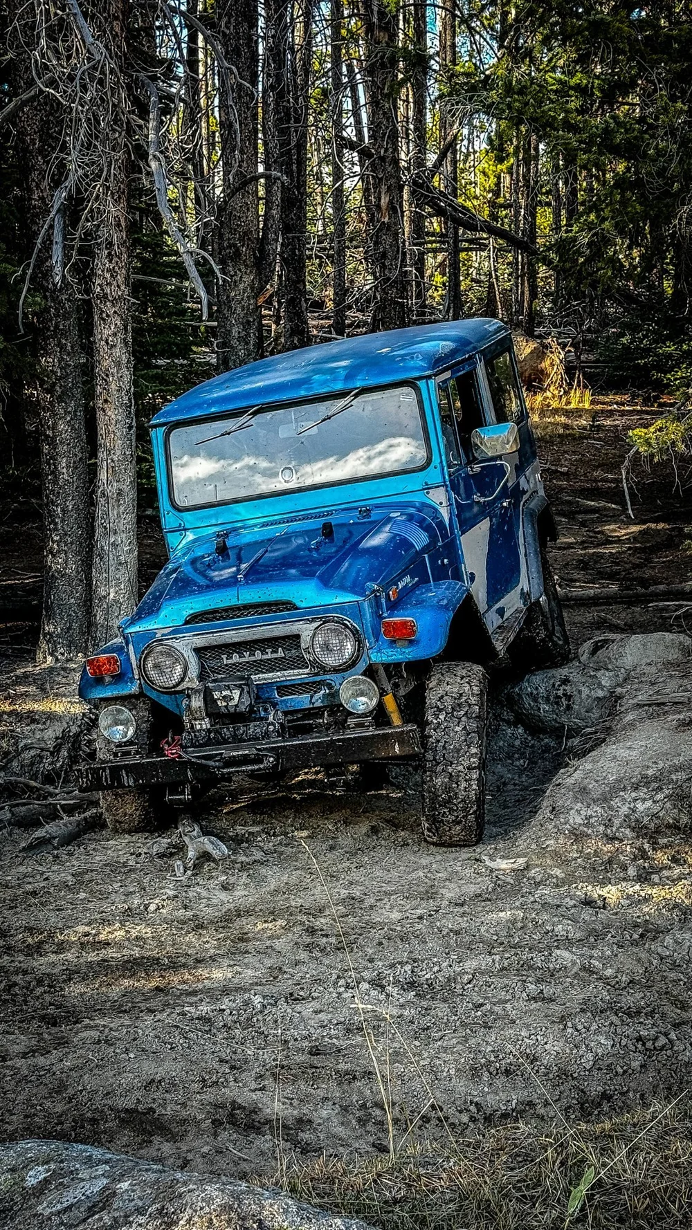 Blue FJ40 Land Cruiser crawling over granite ledges in the trees