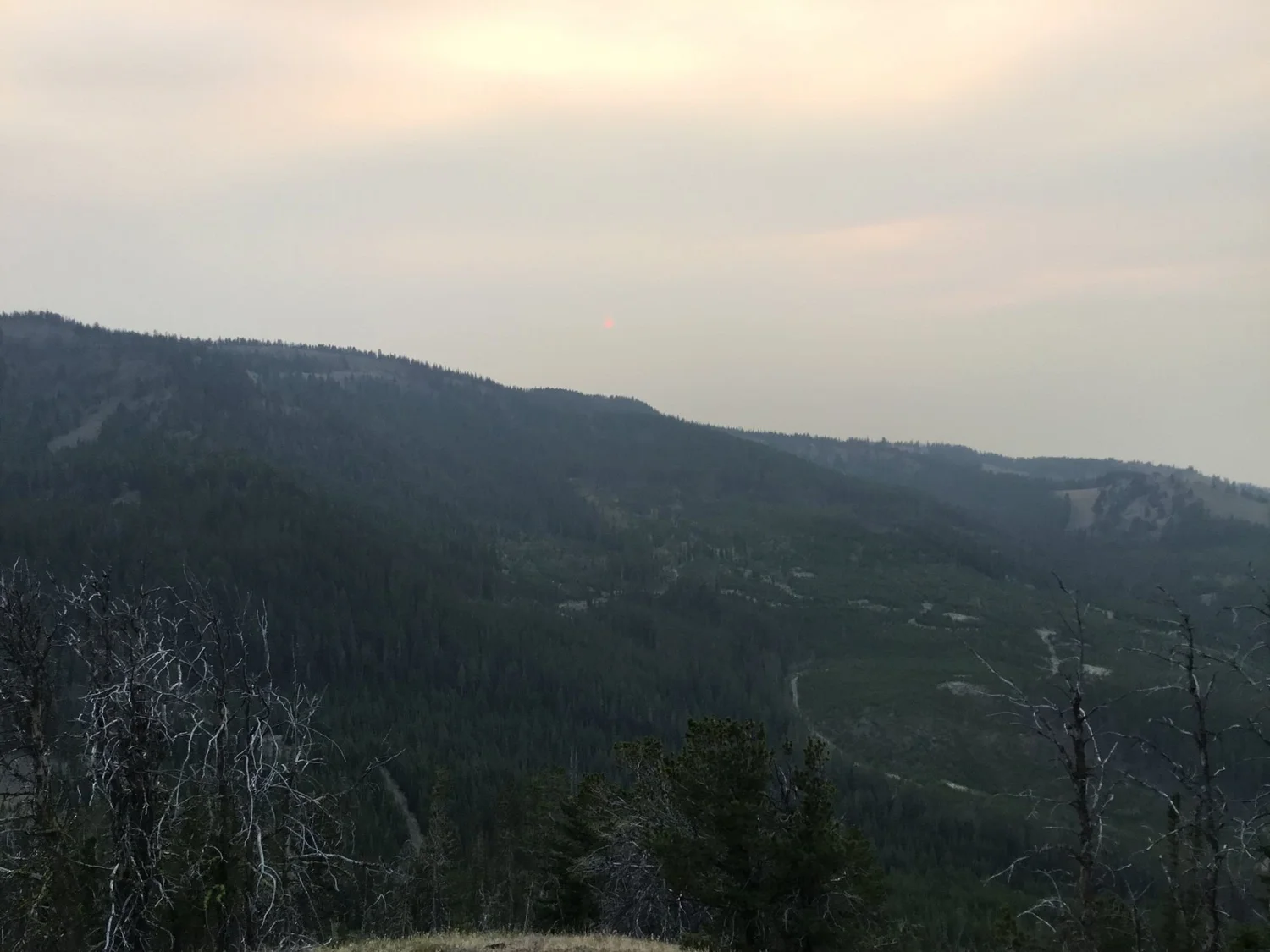 Forested valley below a ridge under a smoky, hazy sky on Little Bear Road in the Gallatin Range near Bozeman, Montana