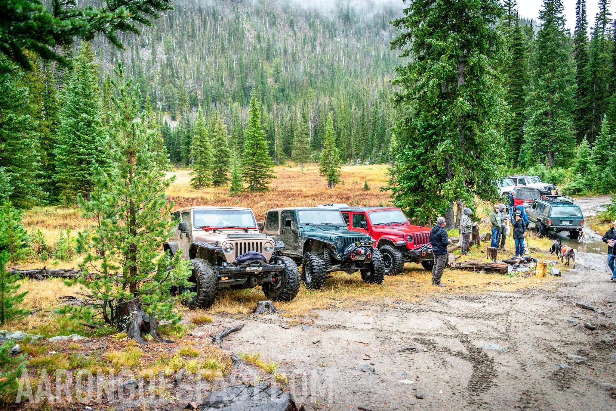 Group of Jeeps parked in a meadow with fog rolling over the mountains
